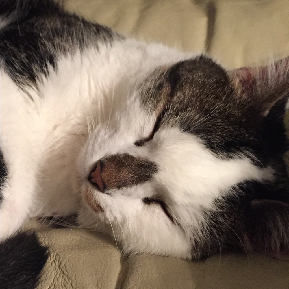 Meet your Posher, Deborah